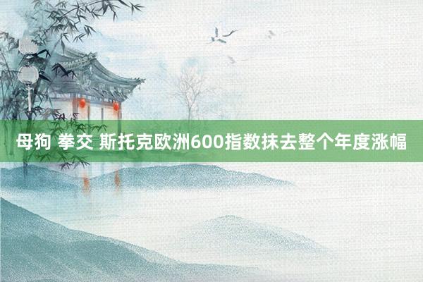 母狗 拳交 斯托克欧洲600指数抹去整个年度涨幅