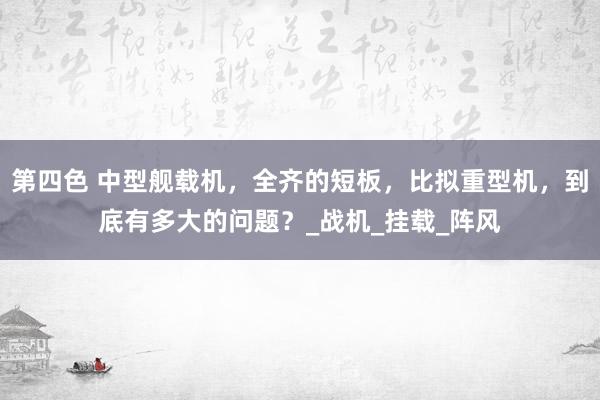 第四色 中型舰载机，全齐的短板，比拟重型机，到底有多大的问题？_战机_挂载_阵风