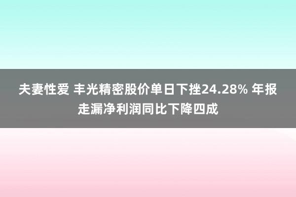 夫妻性爱 丰光精密股价单日下挫24.28% 年报走漏净利润同比下降四成