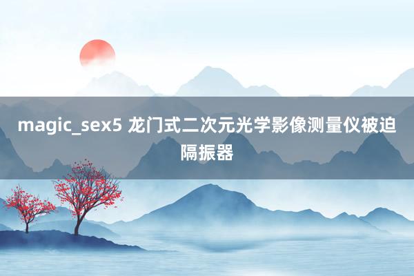 magic_sex5 龙门式二次元光学影像测量仪被迫隔振器