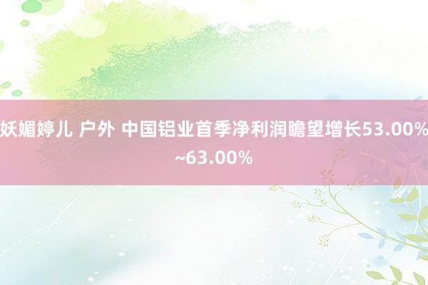 妖媚婷儿 户外 中国铝业首季净利润瞻望增长53.00%~63.00%