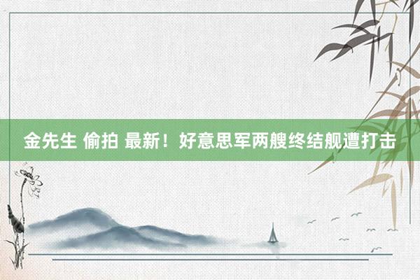 金先生 偷拍 最新！好意思军两艘终结舰遭打击
