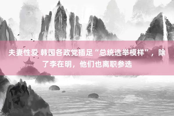 夫妻性爱 韩国各政党插足“总统选举模样”，除了李在明，他们也离职参选