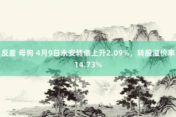 反差 母狗 4月9日永安转债上升2.09%，转股溢价率14.73%