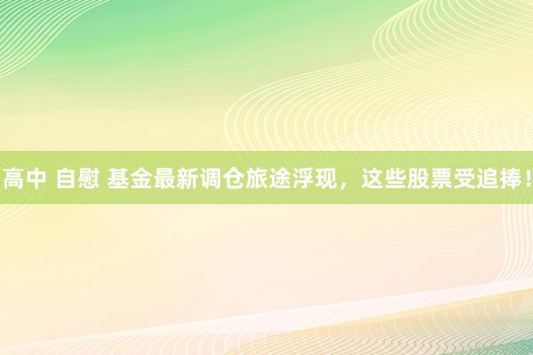高中 自慰 基金最新调仓旅途浮现，这些股票受追捧！