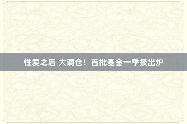 性爱之后 大调仓！首批基金一季报出炉