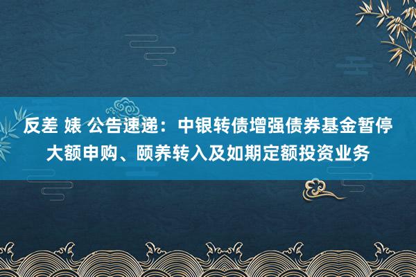 反差 婊 公告速递：中银转债增强债券基金暂停大额申购、颐养转入及如期定额投资业务