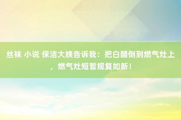丝袜 小说 保洁大姨告诉我：把白醋倒到燃气灶上，燃气灶短暂规复如新！
