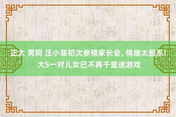正太 男同 汪小菲初次参预家长会， 情绪太股东! 大S一对儿女已不再千里迷游戏