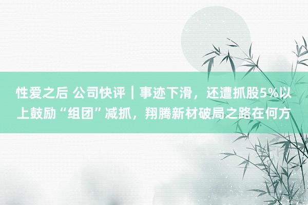 性爱之后 公司快评︱事迹下滑，还遭抓股5%以上鼓励“组团”减抓，翔腾新材破局之路在何方