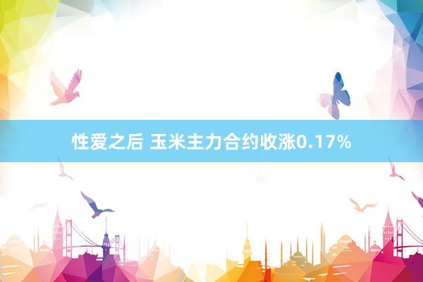 性爱之后 玉米主力合约收涨0.17%