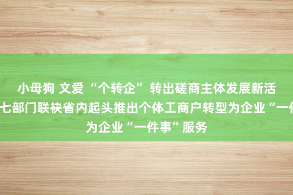 小母狗 文爱 “个转企” 转出磋商主体发展新活力——青岛七部门联袂省内起头推出个体工商户转型为企业“一件事”服务