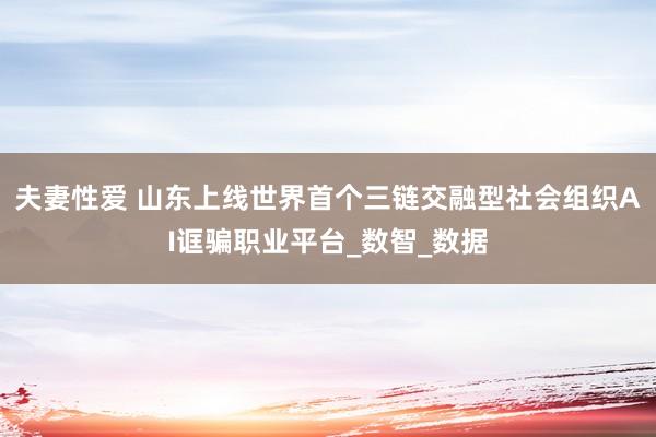 夫妻性爱 山东上线世界首个三链交融型社会组织AI诓骗职业平台_数智_数据