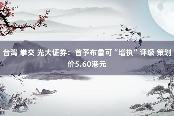台灣 拳交 光大证券：首予布鲁可“增执”评级 策划价5.60港元