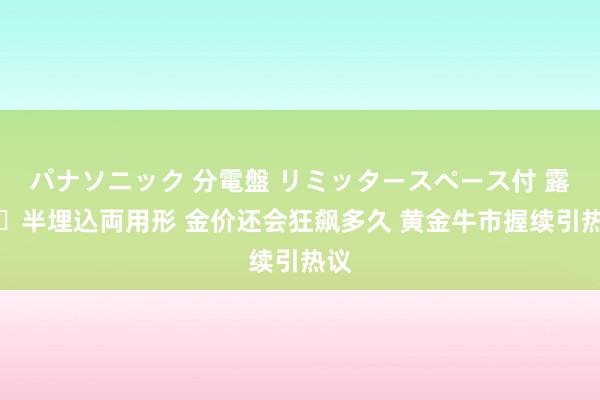 パナソニック 分電盤 リミッタースペース付 露出・半埋込両用形 金价还会狂飙多久 黄金牛市握续引热议