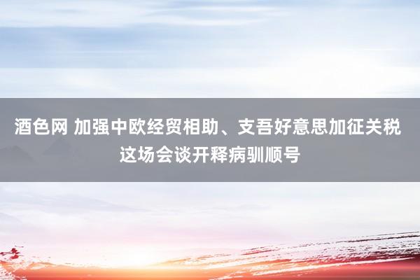 酒色网 加强中欧经贸相助、支吾好意思加征关税 这场会谈开释病驯顺号