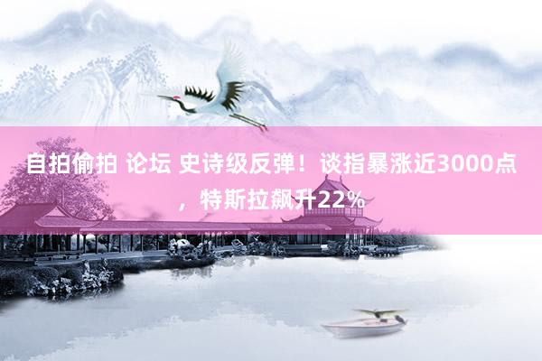 自拍偷拍 论坛 史诗级反弹！谈指暴涨近3000点，特斯拉飙升22%