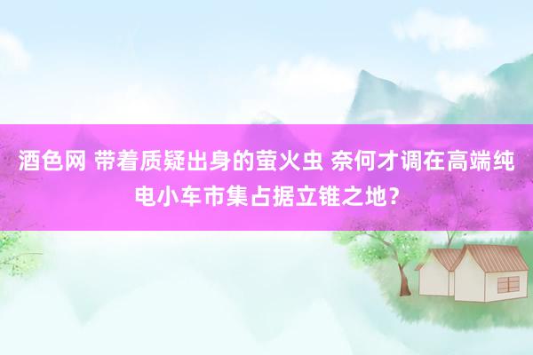 酒色网 带着质疑出身的萤火虫 奈何才调在高端纯电小车市集占据立锥之地？